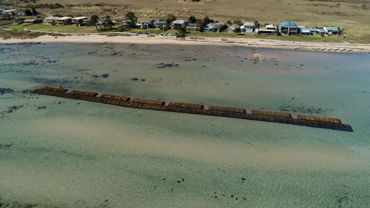 aerial image of artificial reef