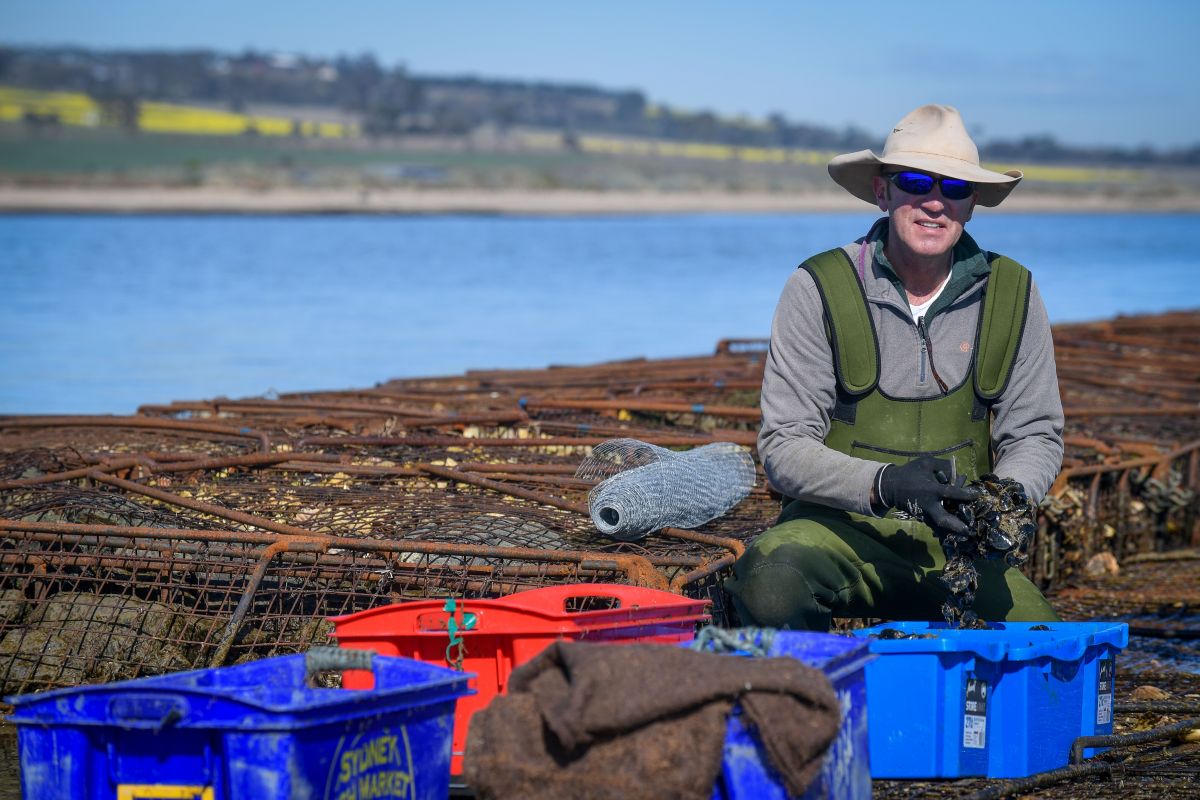 Ralph Roob seeding mussels on artificial reef